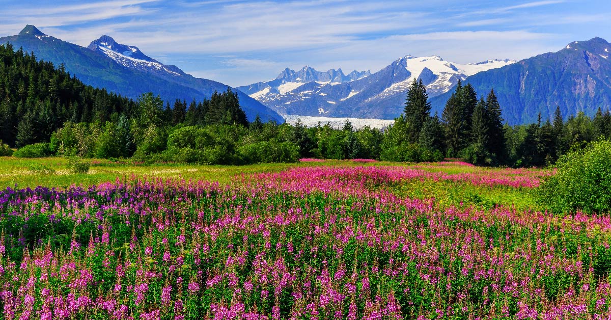 travel nursing assignments in alaska