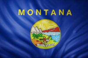Montana flag