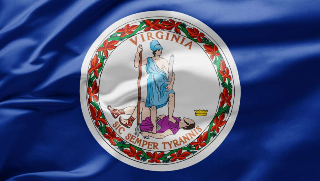 Virginia Healthcare Staffing Workforce Solutions 1
